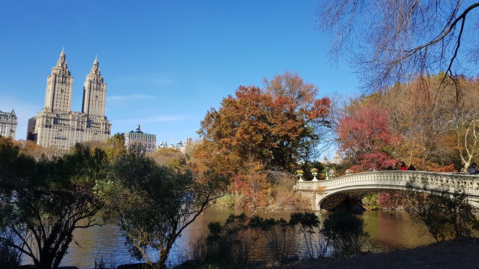central park