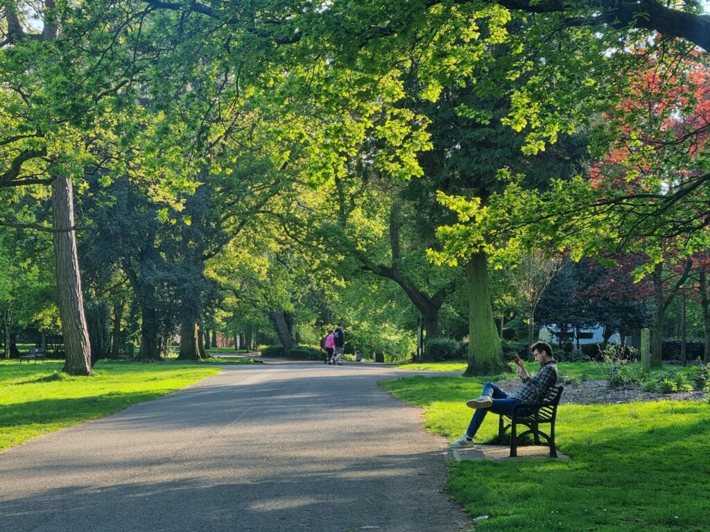 reader in a park of belfast