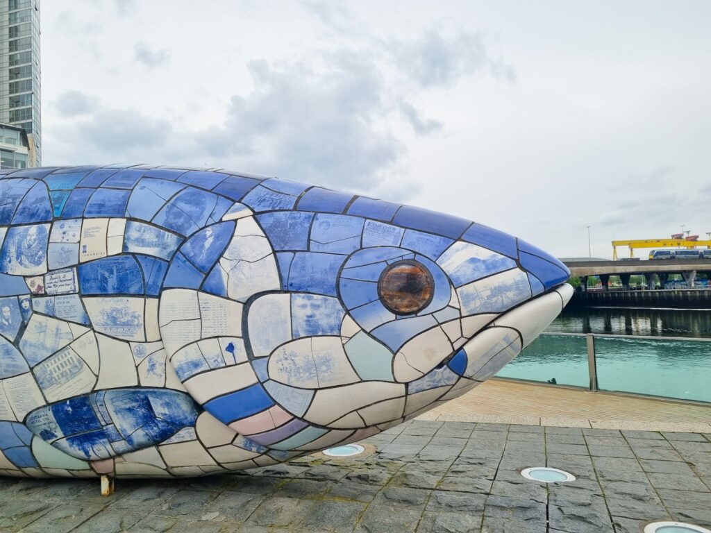 big fish belfast